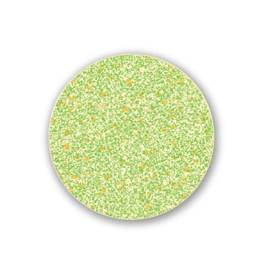Limestone Print Chocolate Cake Decoration – vardachocolatier