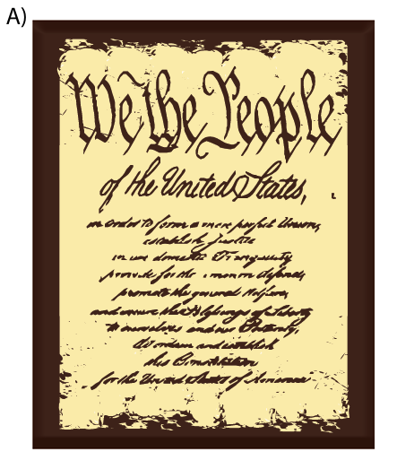 Constitution X5" Transfer